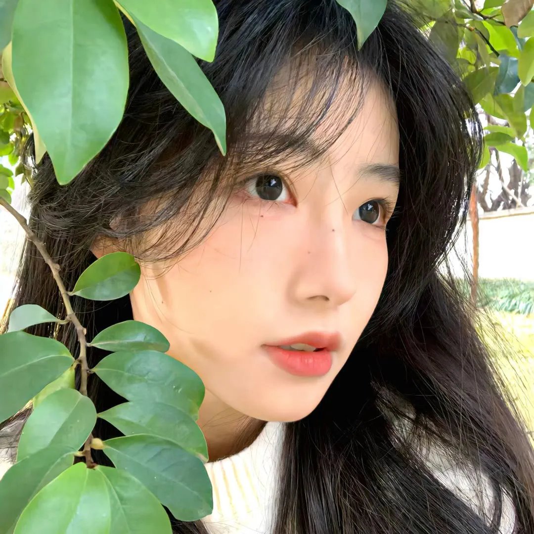 春燕展翅