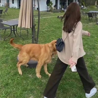 安多第二季